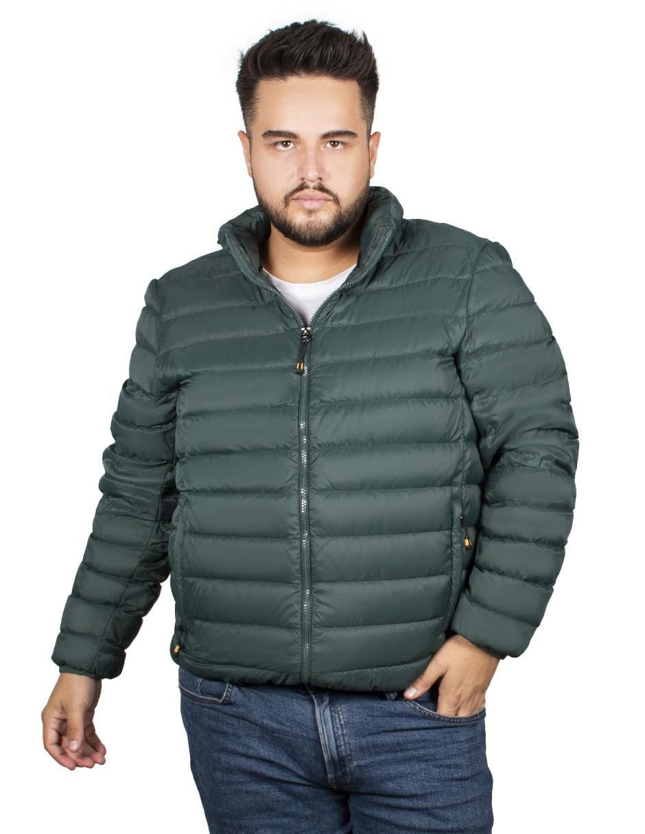 Verde 2