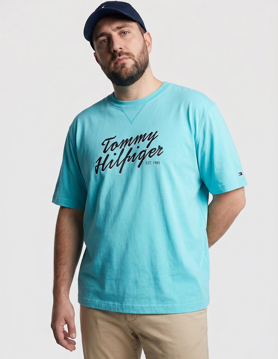 Playera hilfiger cuello redondo para hombre